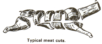 Typical cuts of meat from game carcass