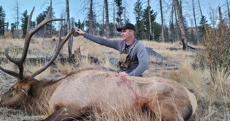 Carson Watkins with a bull elk