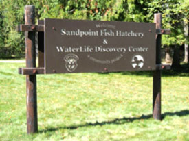 WaterLife Discovery Center Sign - Sandpoint, Idaho