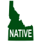 Native Icon
